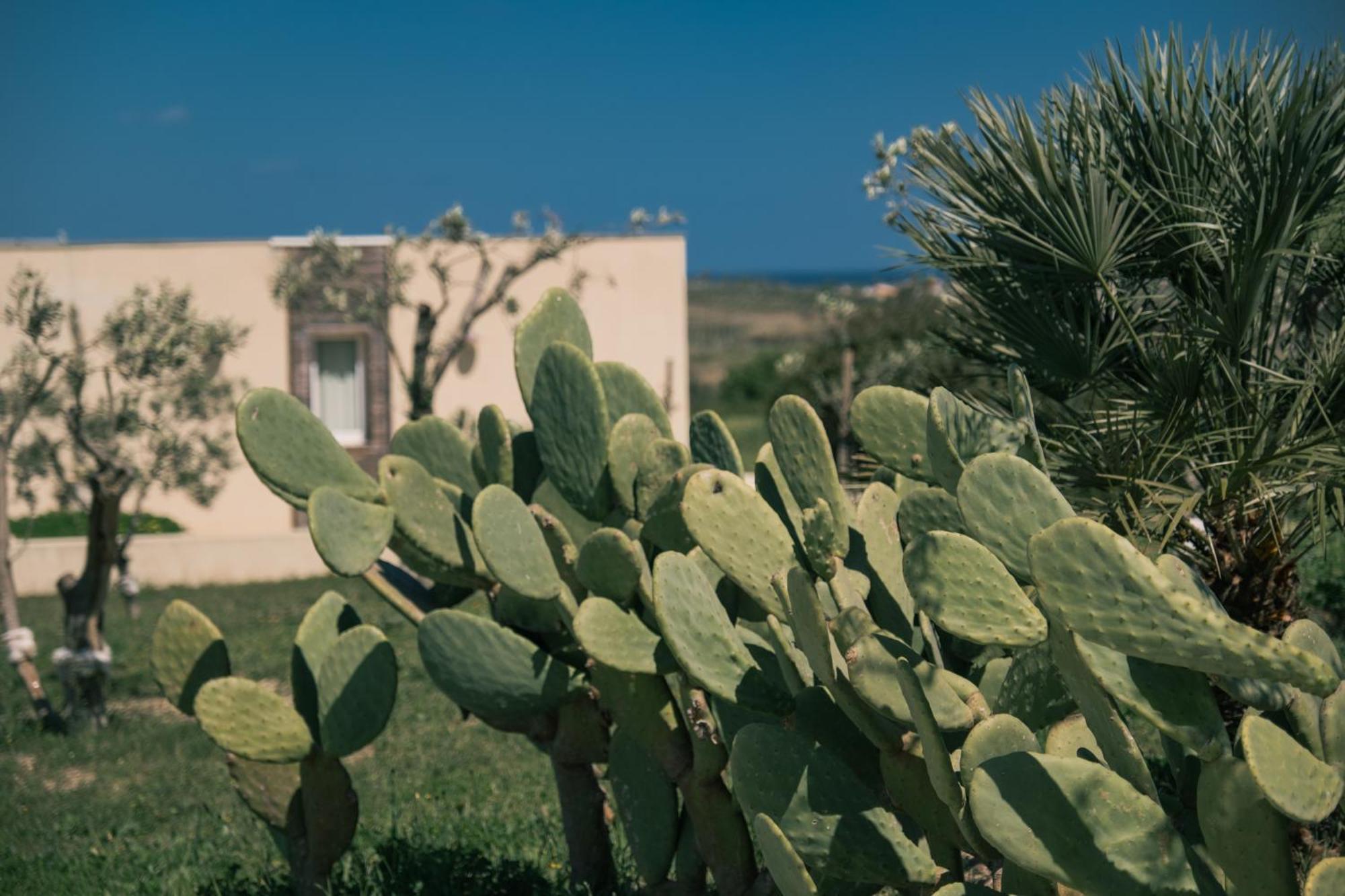 New Exclusive Lodges, Marzamemi, Noto باكينو المظهر الخارجي الصورة